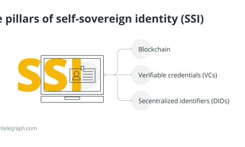 What is decentralized identity in blockchain?