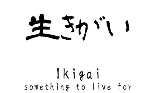 life purpose what is ikigai